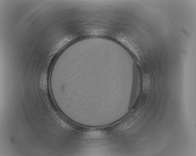 X0000115450581200912161516