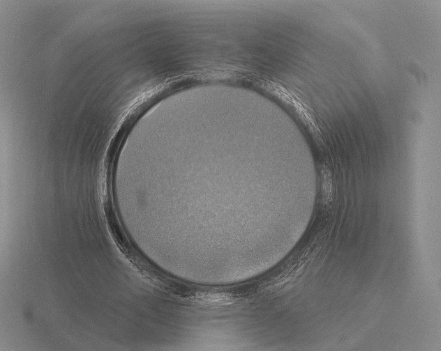 X0000115450582200912161516