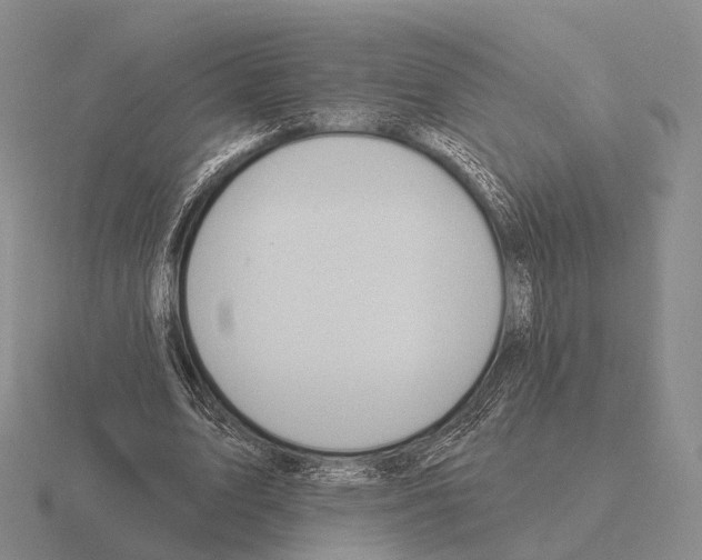 X0000115450583200912161516