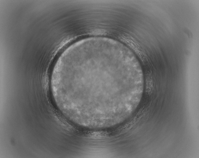 X0000115450584200912161516