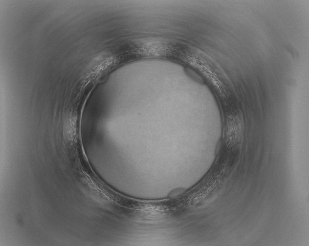 X0000115450585200912161516