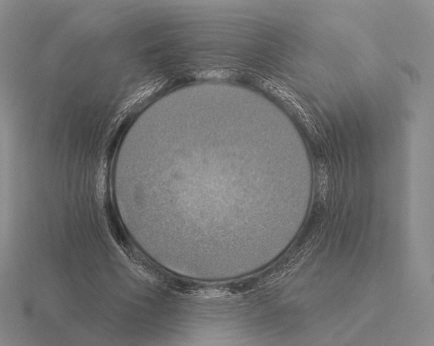 X0000115450586200912161516