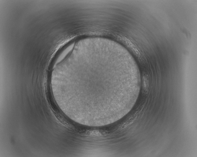 X0000115450588200912161516