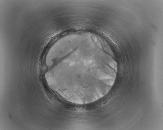 X0000115450592200912161516