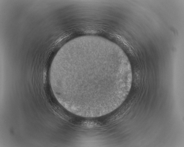 X0000115450596200912161516