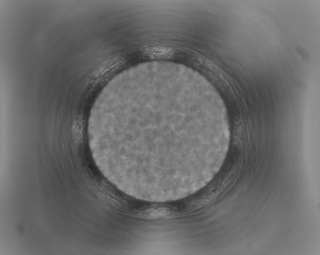 X0000115450604200912161516