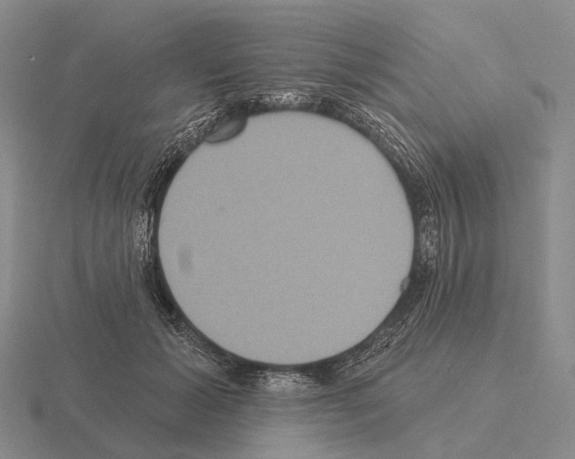 X0000115450605200912161516