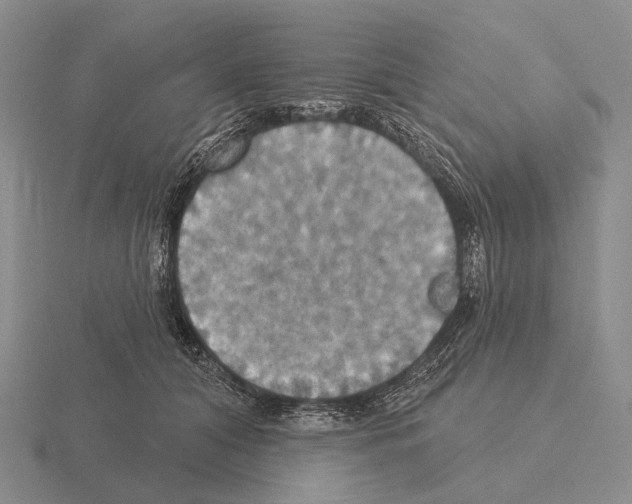 X0000115450608200912161516