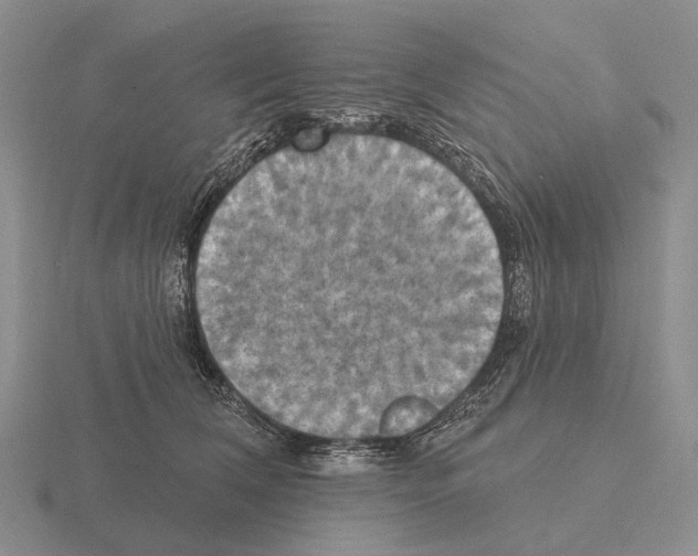 X0000115450612200912161515