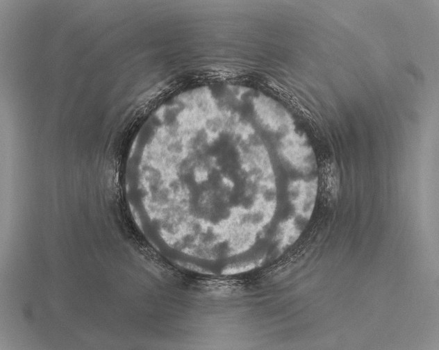 X0000115450615200912161515