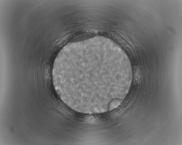 X0000115450616200912161515