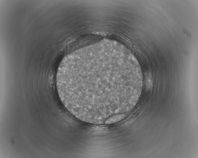 X0000115450619200912161515