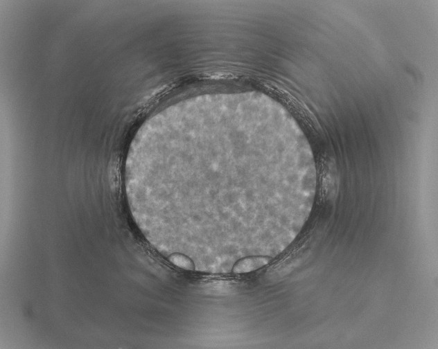 X0000115450620200912161515