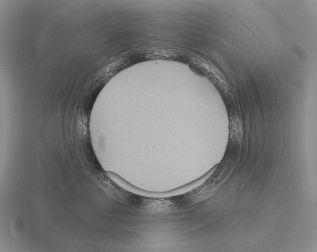 X0000115450621200912161515