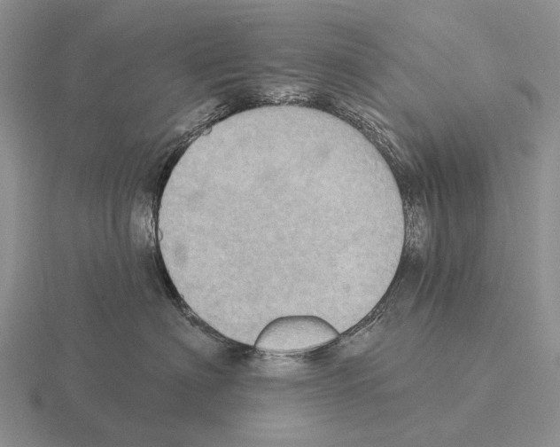 X0000115450622200912161515