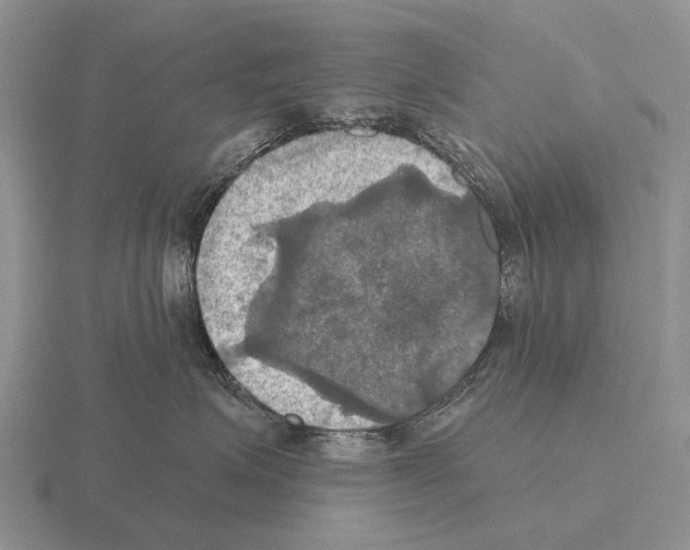 X0000115450623200912161515