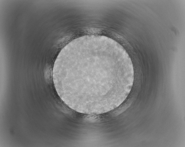 X0000115450624200912161515