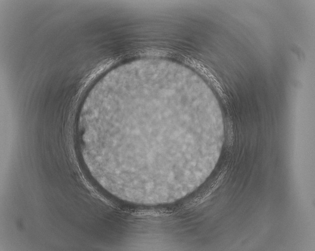 X0000115450625200912161515