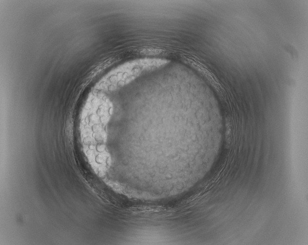 X0000115450626200912161515