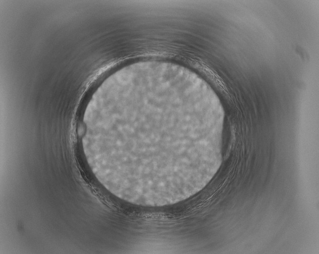 X0000115450628200912161515