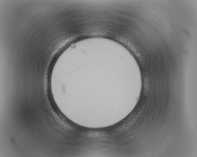 X0000115450629200912161515