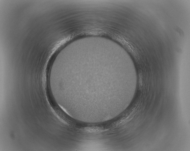 X0000115450630200912161515