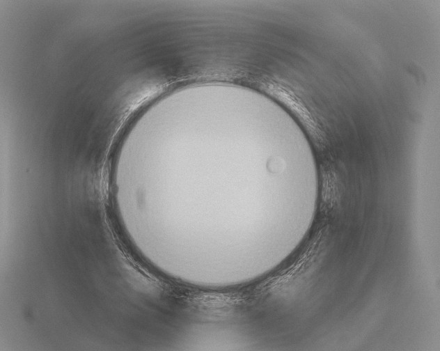 X0000115450632200912161515