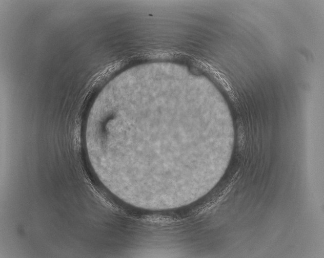 X0000115450633200912161515