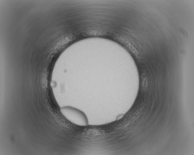 X0000115450635200912161515