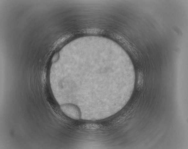 X0000115450636200912161515