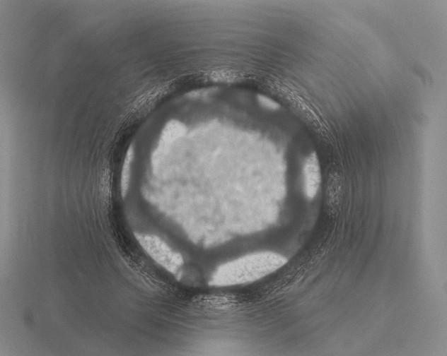 X0000115450639200912161515