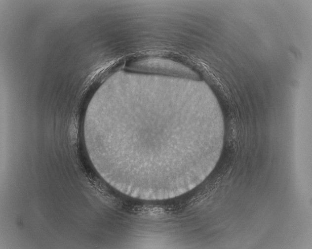 X0000115450640200912161515