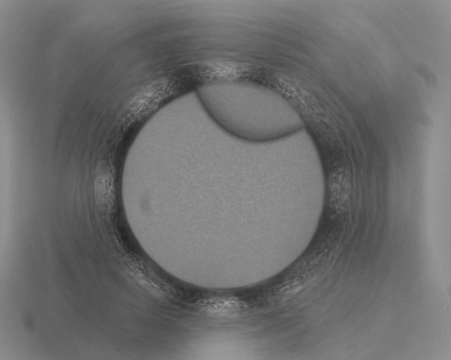 X0000115450642200912161515