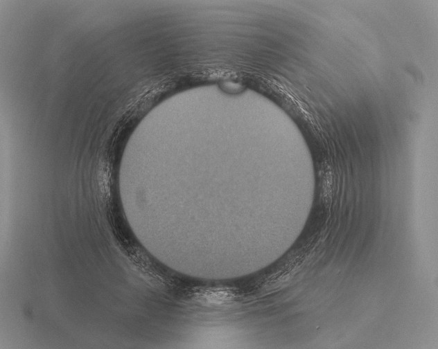 X0000115450643200912161515