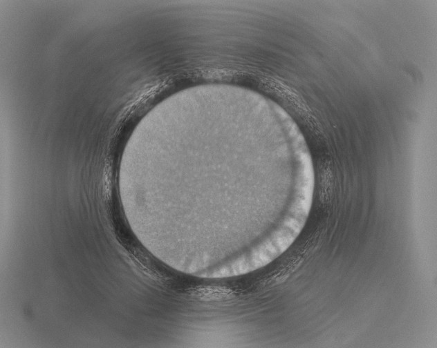 X0000115450644200912161515