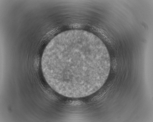 X0000115450645200912161515