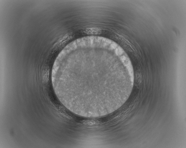 X0000115450652200912161515