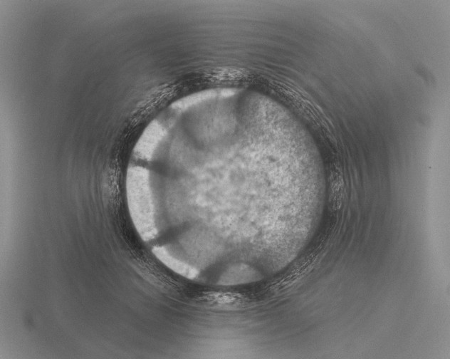 X0000115450654200912161515