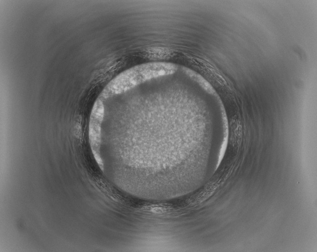 X0000115450655200912161515