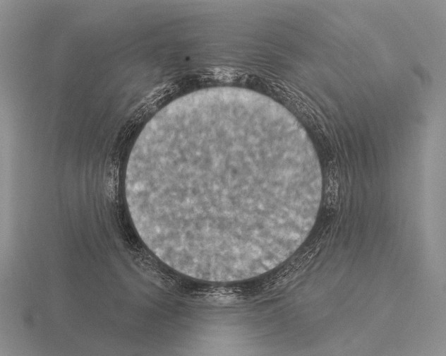 X0000115450656200912161515