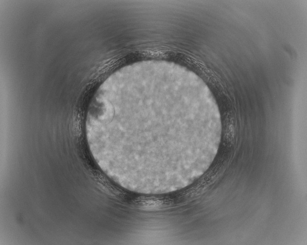 X0000115450658200912161515