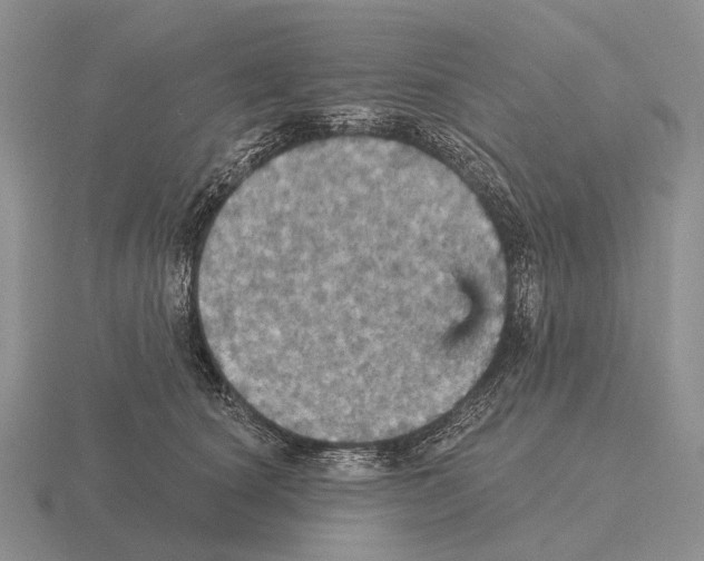 X0000115450660200912161515