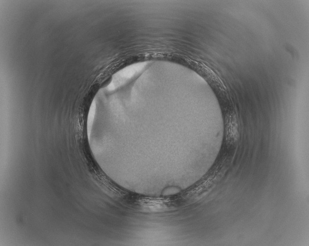 X0000115450661200912161515