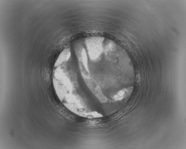 X0000115450662200912161515