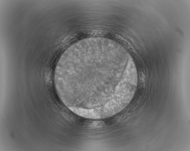 X0000115450663200912161515