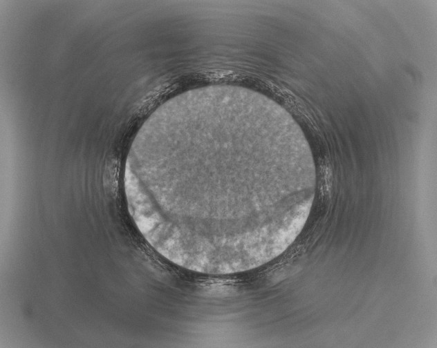 X0000115450664200912161515