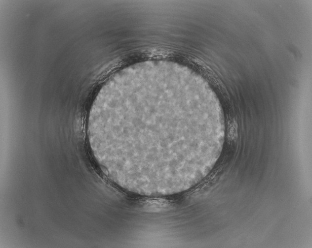 X0000115450666200912161515