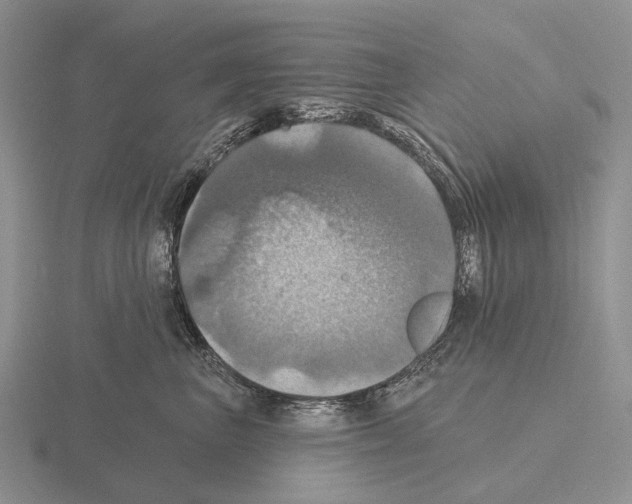 X0000115450667200912161515