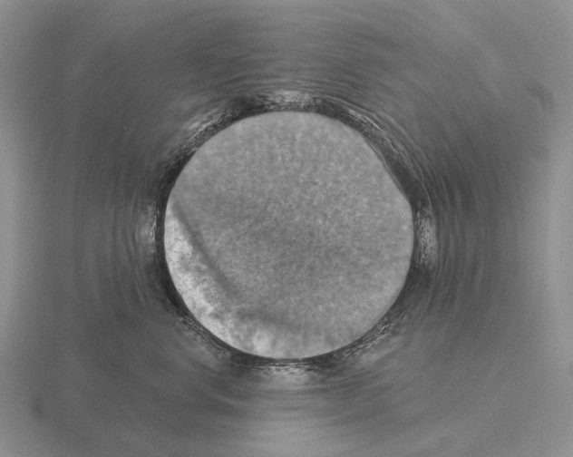 X0000115450668200912161515