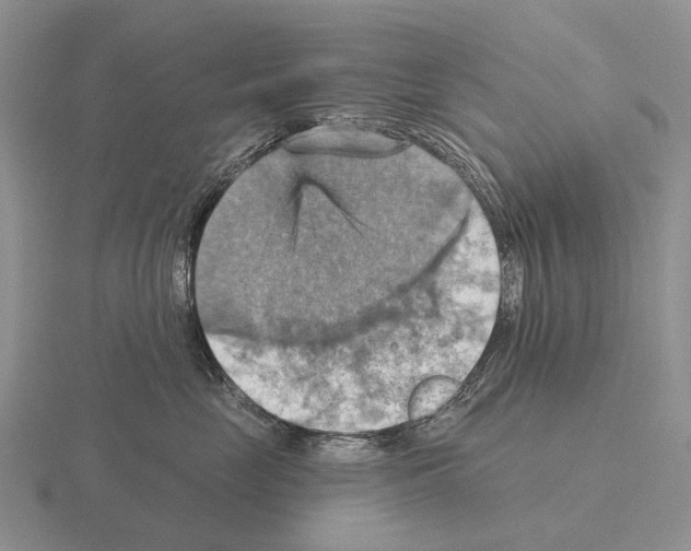 X0000115450669200912161515